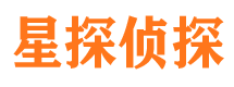 静安市私家侦探